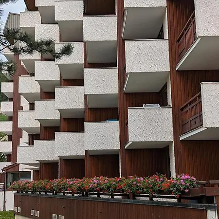 Au Pied Des Pistes, Animaux Admis, Balcon Sud - Fr-1-811-50 * Les Deux Alpes