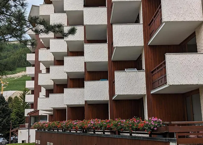 Au Pied Des Pistes, Animaux Admis, Balcon Sud - Fr-1-811-50 * Les Deux Alpes